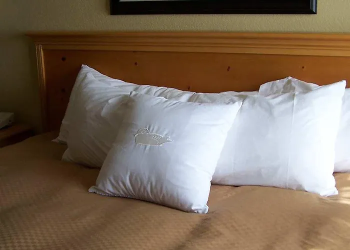 Homewood By Hilton Phoenix-biltmore Hotel 3*