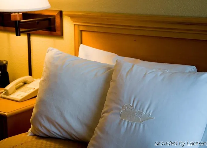 Homewood By Hilton Phoenix-biltmore