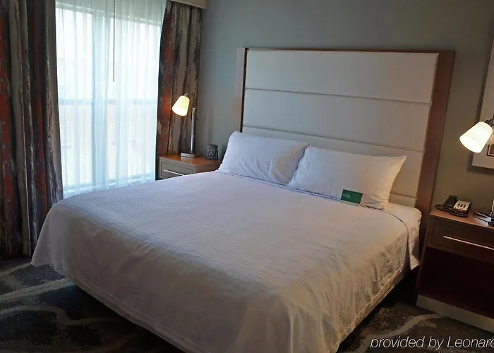 Hotel Homewood By Hilton Phoenix-biltmore Phoenix